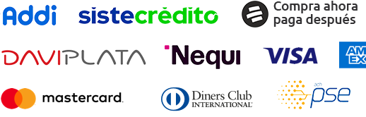 Opción de pago 2